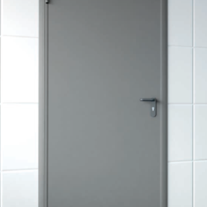 Противопожарная дверь согласно 123 ФЗ / серия FRM55465